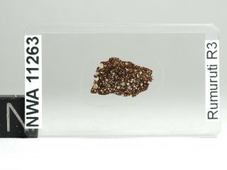 Meteorite Nwa 11263 - R3 Rumuruti Chondrite - Thin Section Microscope Slide