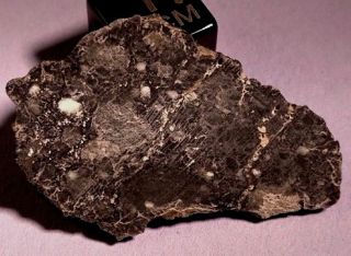 Nwa 10141 Crusted Lunar Feldspathic Breccia,  Moon Meteorite Slice 2.  172 Gr