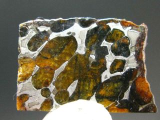 Large Sericho Meteorite Pallasite Piece Kenya 7.  6 Grams - 1.  3 "
