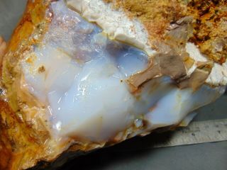 Opal Butte Opal Piece