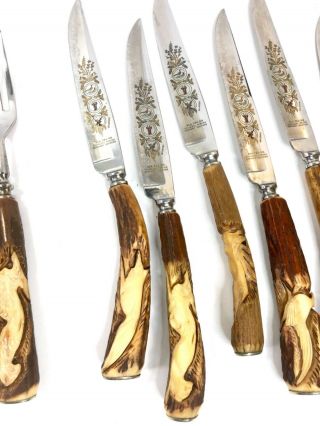 Vintage Germany Solingen Kla - Tra - So Carved Stag Horn 12 Forks Knife Set Hunting 4