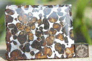 Sericho Pallasite Meteorite From Kenya Africa Habaswein 63.  1 Gram Part Slice