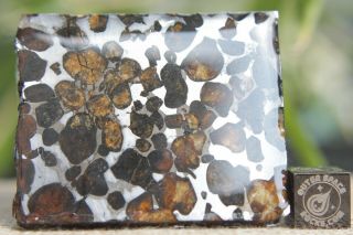 Sericho Pallasite Meteorite from Kenya Africa Habaswein 63.  1 gram part slice 2