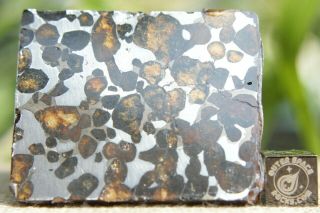 Sericho Pallasite Meteorite from Kenya Africa Habaswein 63.  1 gram part slice 3
