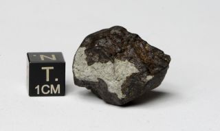 Meteorite Kheneg Ljouad Maroccan Fall 2017 Chondrite Ll5/6 Weight 14.  5 G