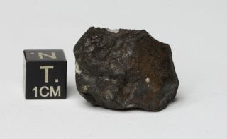 Meteorite Kheneg Ljouad Maroccan fall 2017 Chondrite LL5/6 weight 14.  5 g 2