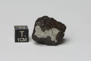 Meteorite Kheneg Ljouad Maroccan fall 2017 Chondrite LL5/6 weight 14.  5 g 3