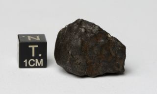 Meteorite Kheneg Ljouad Maroccan fall 2017 Chondrite LL5/6 weight 14.  5 g 4
