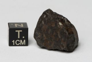 Meteorite Kheneg Ljouad Maroccan fall 2017 Chondrite LL5/6 weight 14.  5 g 5