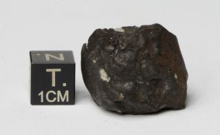 Meteorite Kheneg Ljouad Maroccan fall 2017 Chondrite LL5/6 weight 14.  5 g 6