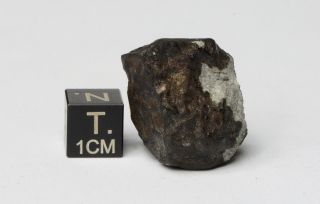 Meteorite Kheneg Ljouad Maroccan fall 2017 Chondrite LL5/6 weight 14.  5 g 7