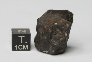 Meteorite Kheneg Ljouad Maroccan fall 2017 Chondrite LL5/6 weight 14.  5 g 8