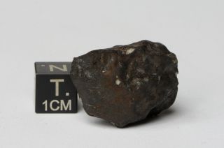Meteorite Kheneg Ljouad Maroccan fall 2017 Chondrite LL5/6 weight 14.  5 g 9