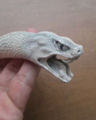Snake Handle In Fish Bone.  Unique & Special.  Very Detail Carving 01210118