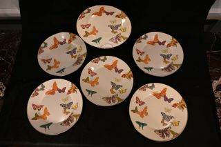Mackenzie Childs Butterfly Garden Dinner Plate - White - 10 " D.  Set Of 6