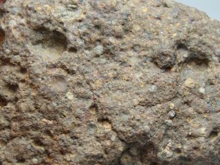 NWA 10583 Official Meteorite - LL3 - S1 - W4 - G612 - 0010 - 47.  48g w/COA - END CUT 10