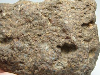 NWA 10583 Official Meteorite - LL3 - S1 - W4 - G612 - 0010 - 47.  48g w/COA - END CUT 11