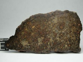 Nwa 10583 Official Meteorite - Ll3 - S1 - W4 - G612 - 0010 - 47.  48g W/coa - End Cut