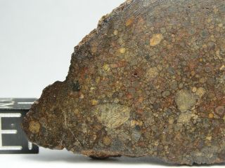 NWA 10583 Official Meteorite - LL3 - S1 - W4 - G612 - 0010 - 47.  48g w/COA - END CUT 2