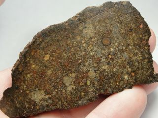 NWA 10583 Official Meteorite - LL3 - S1 - W4 - G612 - 0010 - 47.  48g w/COA - END CUT 4