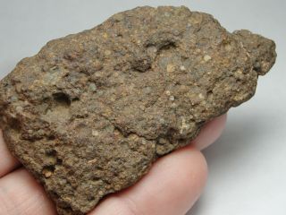 NWA 10583 Official Meteorite - LL3 - S1 - W4 - G612 - 0010 - 47.  48g w/COA - END CUT 5