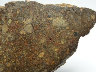 NWA 10583 Official Meteorite - LL3 - S1 - W4 - G612 - 0010 - 47.  48g w/COA - END CUT 7