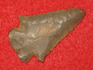 Authentic Native American Artifact Arrowhead Tennessee Pine Tree Point I9