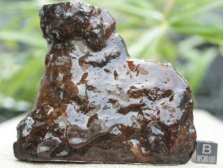 Sericho Pallasite Meteorite from Kenya Africa Habaswein 233 gram partial cut 2