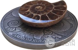AMMONITE World of Evolution 1 Oz Silver Coin 1000 Francs Burkina Faso 2016 4