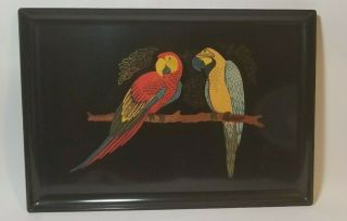 Large Black Couroc 18 " Tray Two Tropical Macaw Parrot Birds Floral Island Buffet