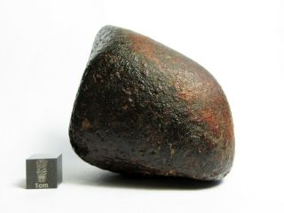 Nwa X Meteorite 376.  98g Colossal Chondrite With Character