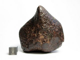 NWA x Meteorite 376.  98g Colossal Chondrite with Character 4