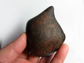 NWA x Meteorite 376.  98g Colossal Chondrite with Character 6