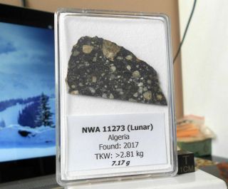 Meteorite NWA 11273 (Lunar) - 7.  17 g 3