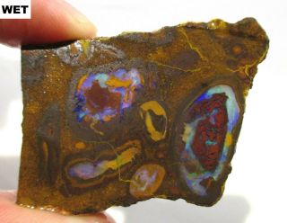 Great 31 Gram Koroit Boulder Opal Rough Slab - Australia