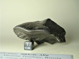 meteorite Sikhote - Alin,  Russia,  regmaglypted individual 472 g,  flow lines 4