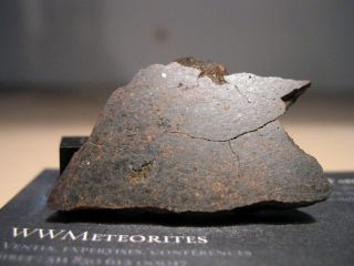 Meteorite Nwa 5400 - Ungrouped Achondrite - Giant Impact Hypothesis (moon/theia)