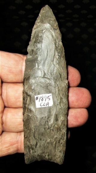 Giant Fluted Clovis Arrowhead - Authentic Paleo Indian Artifact with 6