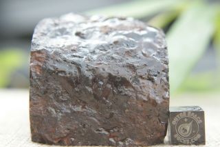 Sericho Pallasite Meteorite from Kenya Africa Habaswein 325 gram partial cut 6