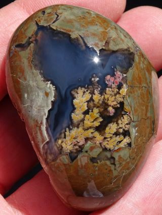 Mw: Priday Plume Agate Thunderegg - Oregon - Polished Specimen