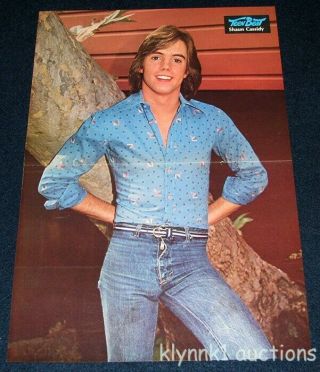 Shaun Cassidy Hardy Boys 2 Page Vintage Centerfold Poster 1970 