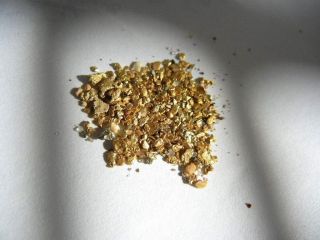 Alaska Placer Gold Fines And Small Nuggets 1.  64 Grams17 To 22 K