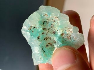Blue Smithsonite Crystals: Kelly Mine.  Magdalena Dist. ,  Socorro Co. ,  Mexico 5