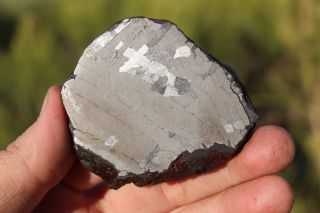 Canyon Diablo Meteorite Full Slice 97.  1 Grams