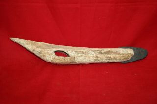 Artifact Eskimo Inuit Massive Toggle Harpoon Slate Blade 11 ",