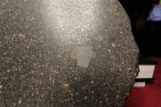 NWA 7654 Large Full Slice Chondrite (L5) - - 492 grams 10