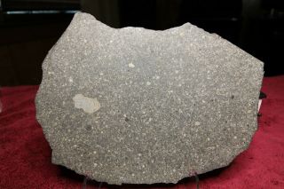 NWA 7654 Large Full Slice Chondrite (L5) - - 492 grams 11