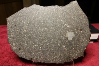 Nwa 7654 Large Full Slice Chondrite (l5) - - 492 Grams