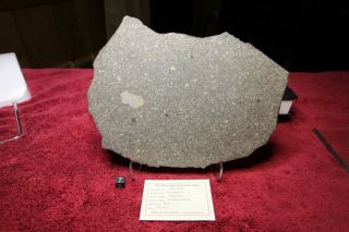 NWA 7654 Large Full Slice Chondrite (L5) - - 492 grams 3