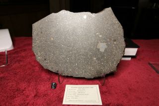NWA 7654 Large Full Slice Chondrite (L5) - - 492 grams 4